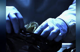 Cold Blood Season 3: Ties that Bind