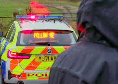Traffic Cops
