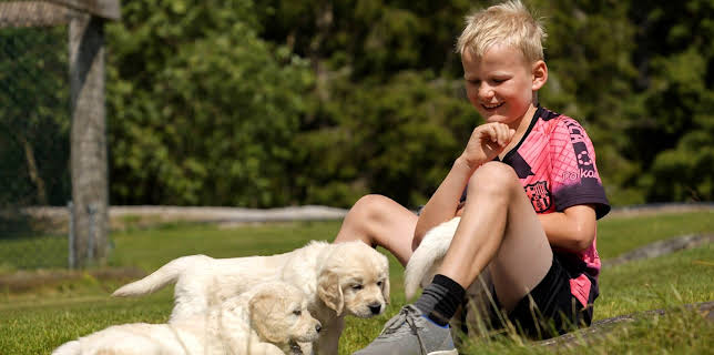 16:05: Valpedrømmen: Andreas og Klara | NRK Super | 1/10 2026