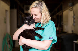 Life at Vet University: Episode 6