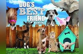Dog's Best Friend: Episode 1