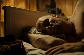 Stayer S01: Flight of Birds