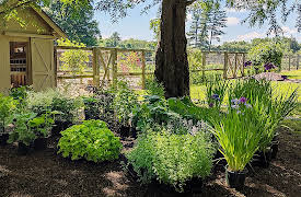 Martha Knows Best, Season 1: Container Gardens