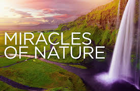 Miracles of Nature: United Kingdom, The Scottish Highlands, shores of Lake Baikal, Spanish Andalusia, Sierra Nevada - Mountain Range