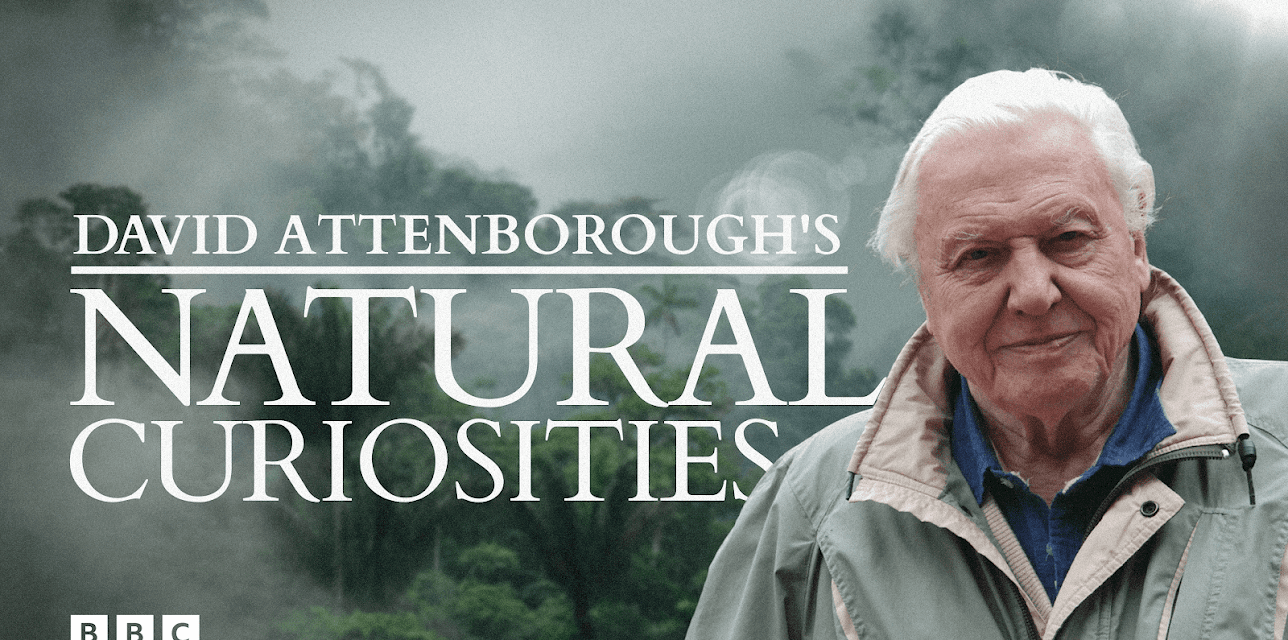 David Attenborough's Natural Curiosities, Season 1