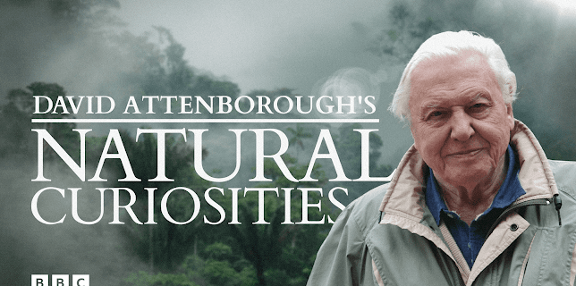 David Attenborough's Natural Curiosities, Season 1