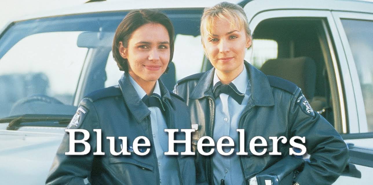 Blue Heelers