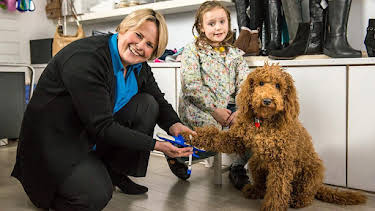 1:45 PM: Waffle the Wonder Dog (S2) | Cbeebies | 2/4 2026