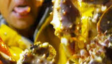 Pesca radical: Un pliegue temporal