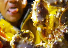 Pesca radical: Un pliegue temporal