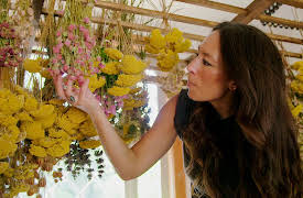 Mini Reni, Season 1: A New Art Workshop at the Silos