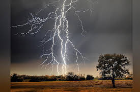 The Nature of Matter: Understanding the Physical World: The Air We Breathe