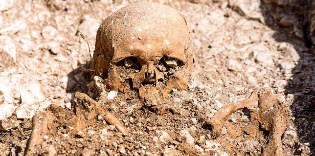 2:20 AM: Meet the Ancestors (S2) | BBC Four | 2/22 2026