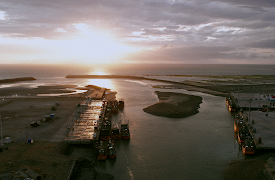 Wild capture: Wild Catch 4