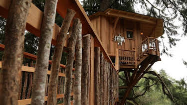 8:00 AM: Treehouse Masters (S4) | Discovery Channel | 9/3 2026