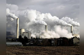 Life in Our Universe: The Future of Terrestrial Life