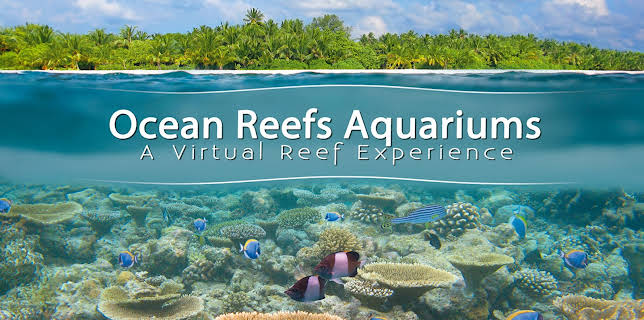 Tropical Reef And Ocean Aquarium (No Dialog) (2016)
