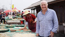 Rick Stein's Taste Of Shanghai (S1 E1)