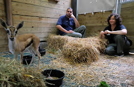 The Bronx Zoo: Episode 3