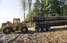 Big Timber: Bridge Over Troubled Water