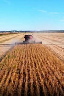10:14: À travers champs | TV5MONDE | 4/2 2026