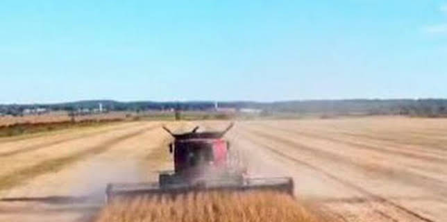 10:22: À travers champs | TV5MONDE | 1/21 2026