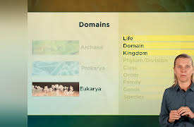 The Botanist's Eye: Identifying the Plants around You: Why Learn the Names of Plants?