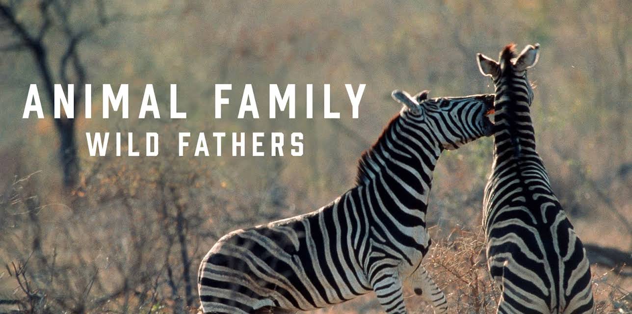 Animal Family: Wild Fathers (1998)