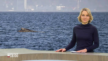 07:02: Schleswig-Holstein 18:00 | Tagesschau 24 | 3/28 2026