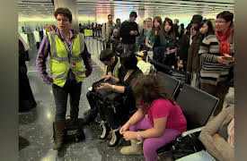 Animal Airport: Episode 1