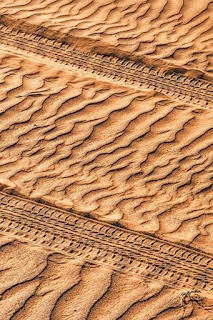 14:00: Mundial de Rally Raid (T2026): BP Ultimate Rally - Raid Portugal | CNBC | 4/4 2026