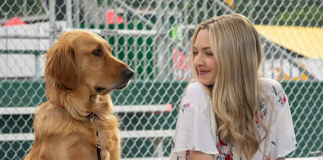 The Art of Racing in the Rain (2019)