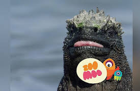 Dance Fever: Galapagos Island Animals