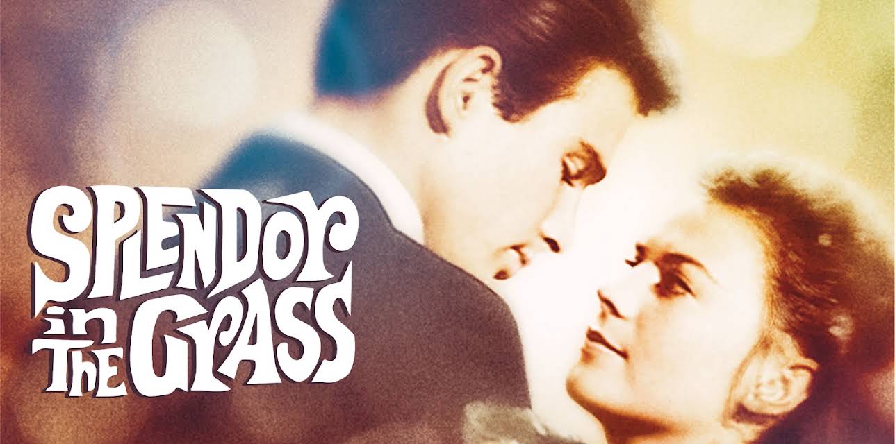 Splendor in the Grass (1961) (1961)