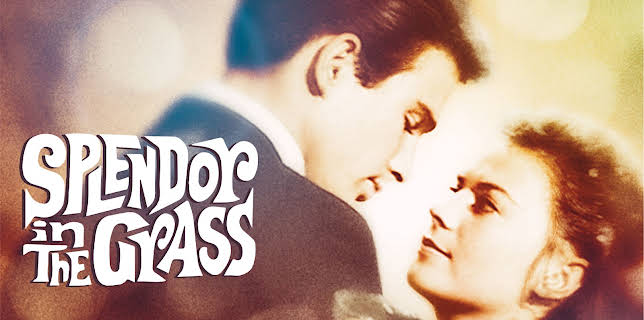 Splendor in the Grass (1961) (1961)