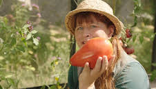 Querbeet