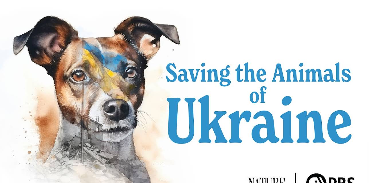 Saving the Animals of Ukraine (2024)
