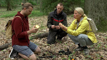 12:00: HEIMATJOURNAL | RBB Fernsehen | 8/16 2026