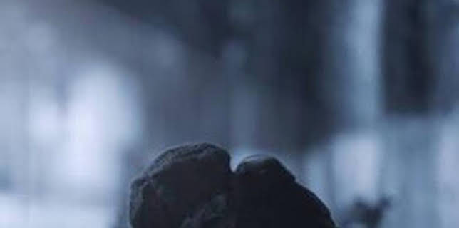 00:15: Les perles | TV5MONDE | 2/14 2026