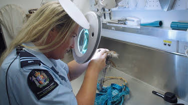 12:00: Border Patrol New Zealand | ProSieben Maxx | 4/21 2026