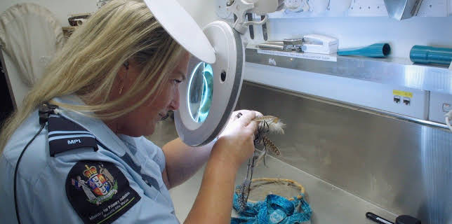 09:20: Border Patrol New Zealand | ProSieben Maxx | 1/7 2026