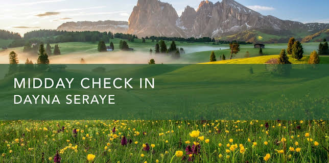 Midday Check In (2024)