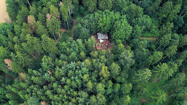 14:00: die nordstory - Sind im Wald! | NDR Fernsehen | 7/14 2026