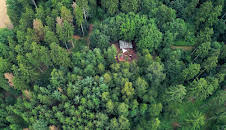 die nordstory - Sind im Wald!