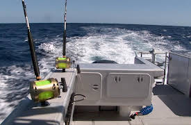 Gone Fishin S4: Extreme Measures, Hokianga