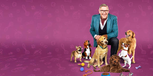 8:00 PM: Dogs Behaving (Very) Badly | Channel 5 | 2/3 2026