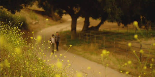 Killer Siblings - Mörderische Geschwister