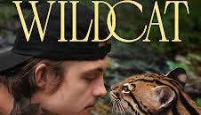 Wildcat