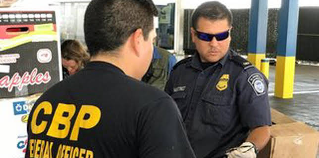 12:00 PM: Border Force America's Gatekeepers (S1 E10) (S1) | Dave | 12/1 2025