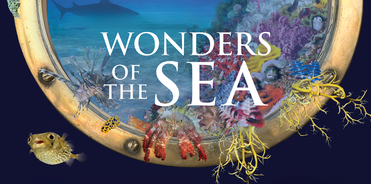 Wonders of the Sea (2019)